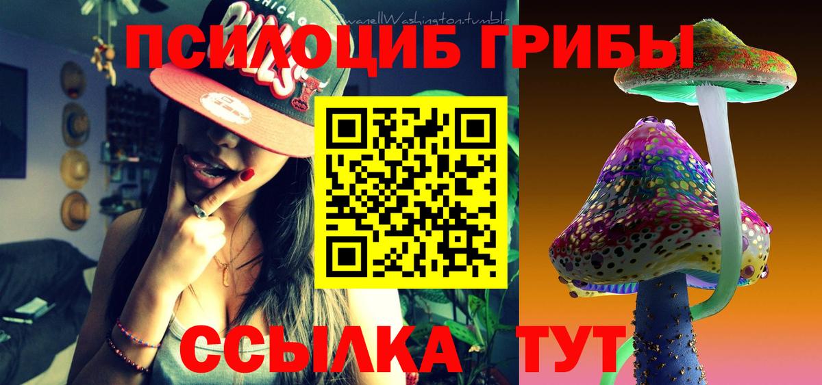 сколько стоит  Вход с VPN  Галлюциногенные грибы мицелий  Великий Устюг  Галлюциногенные грибы Psilocybine cubensis 